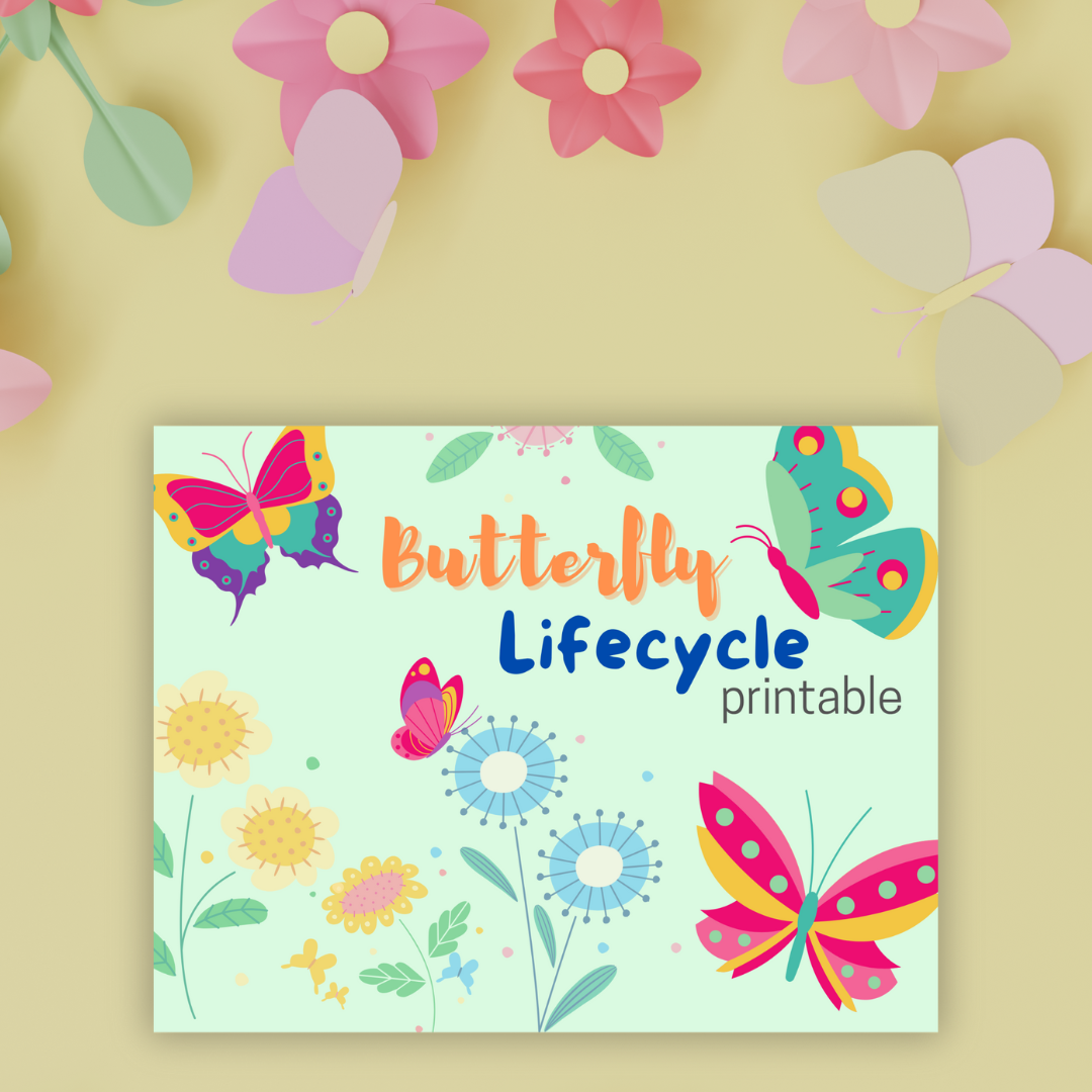 Butterfly Lifecycle
