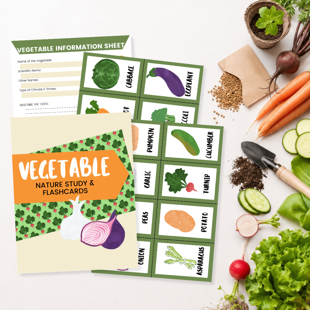 Vegetable Nature Study & Flash Cards