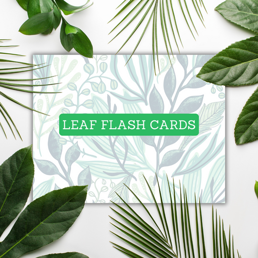 Leaf Flash Cards