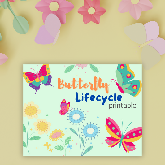 Butterfly Lifecycle