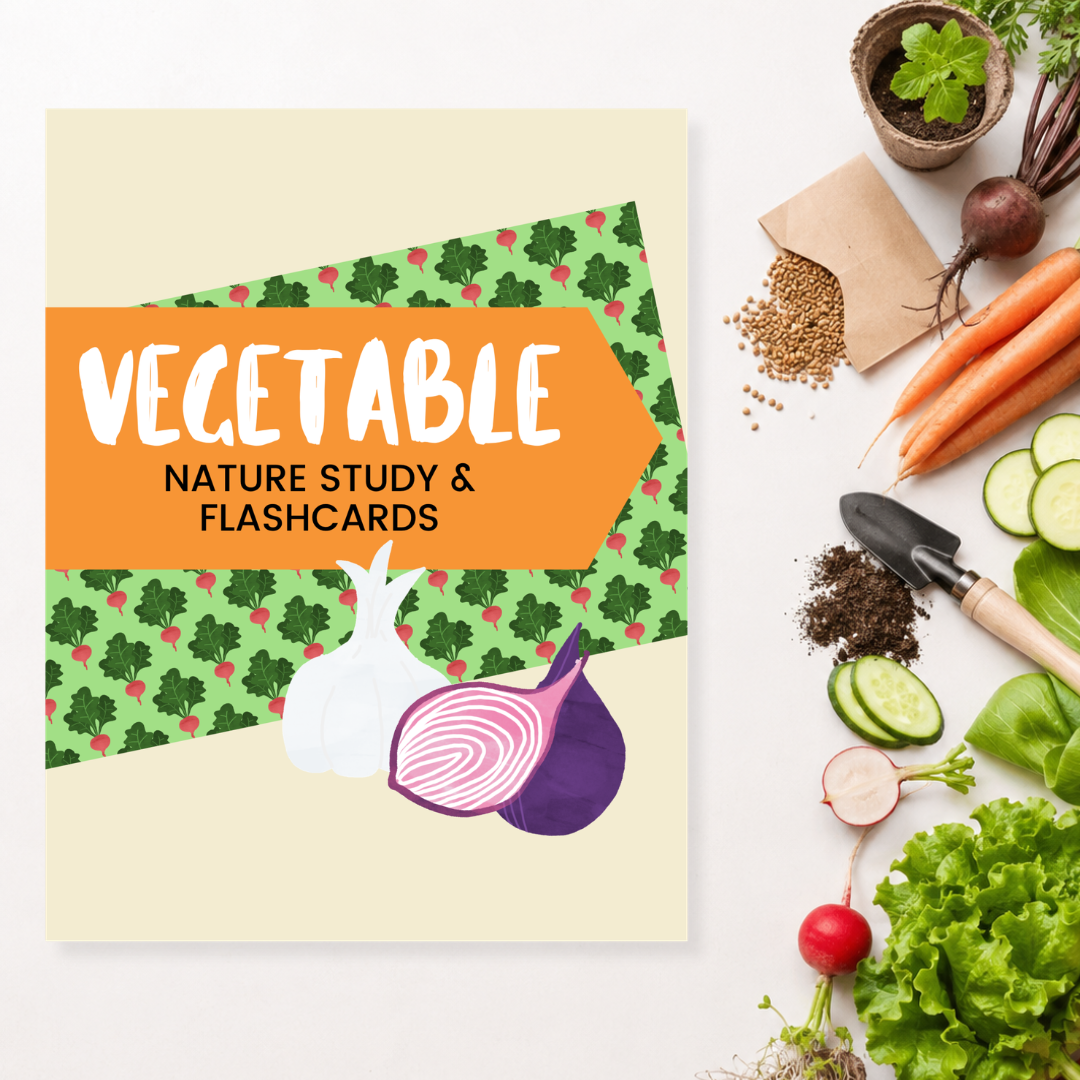 Vegetable Nature Study & Flash Cards