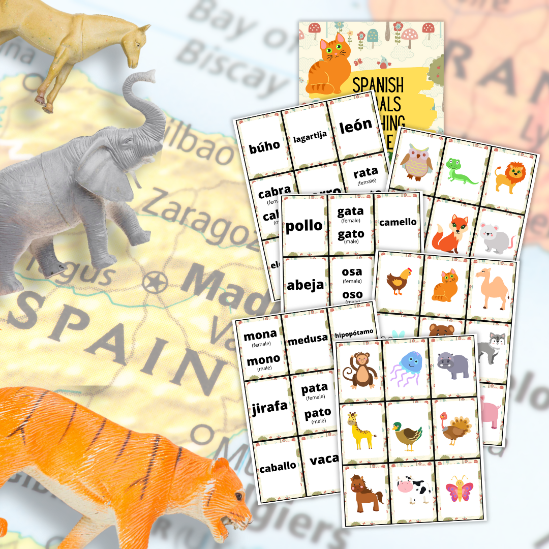 Spanish Animals Matching Game