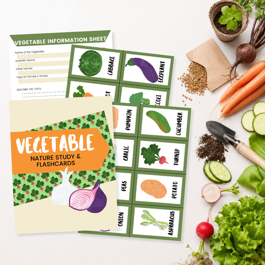 Vegetable Nature Study & Flash Cards