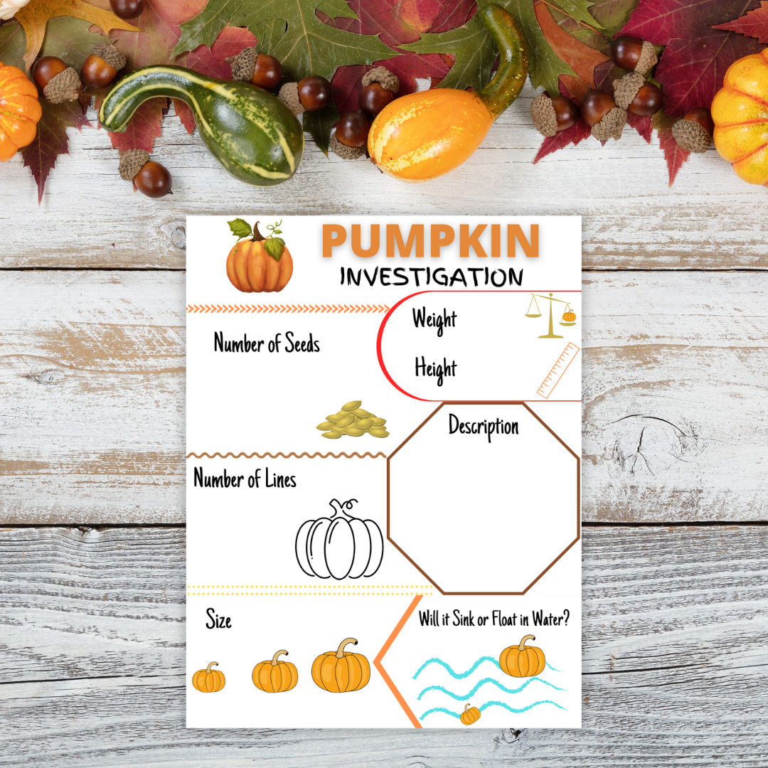 Pumpkin Investigation Activity Sheet