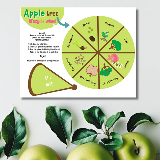 Apple Tree Lifecycle Wheel