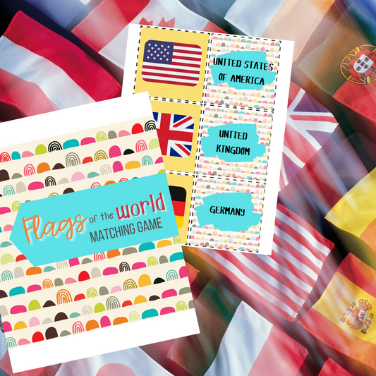 Flags of the World Matching Game